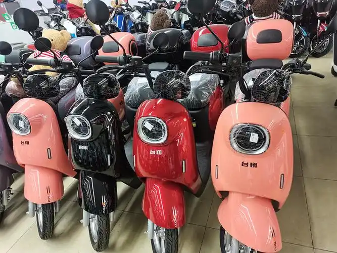 电动车台翔新国标国标m548v铅酸龟王电瓶车快速电动自行车