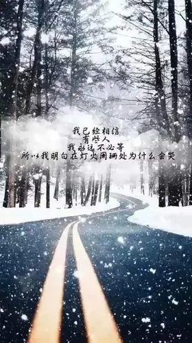 个性,唯美,伤感,另类图片:"一个人厚着脸皮没羞没臊地去爱另一个人的