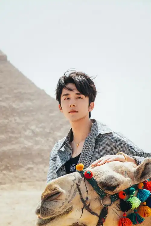 张新成0824生日快乐##重庆