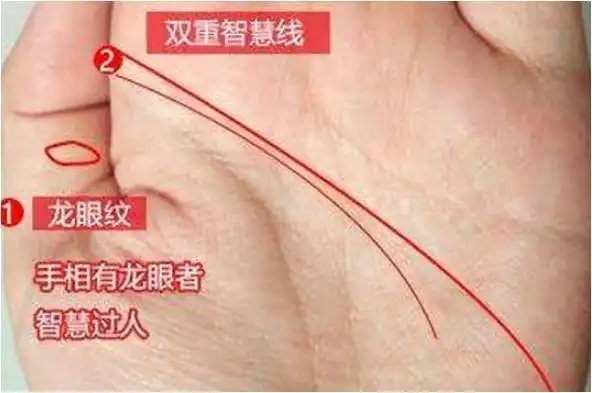 大拇指关节处有一个闭合的纹路,这个纹路像人的眼睛,我们称为佛眼,也