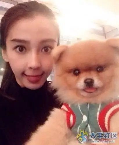 angelababy的儿子小海绵正面照片曝光!整没整容自己看!