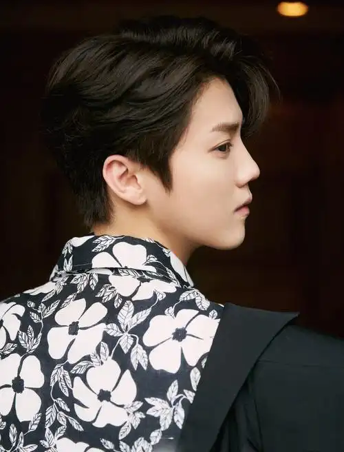 鹿晗花瓣衬衫帅气写真图片_明星_美桌网