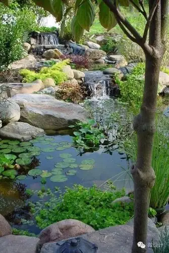 有了院子,一定要造一个水景