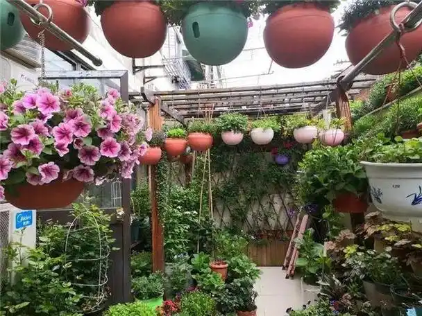 种花的都以为自己有几亩地吗?