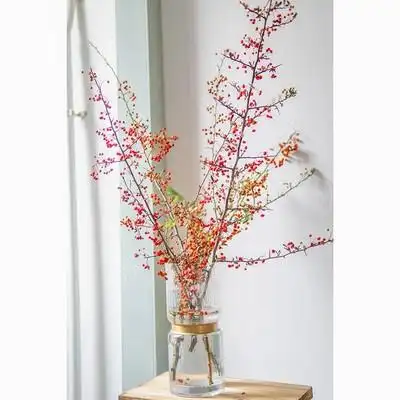 火棘果鲜花水培鲜切水养枝条中式禅意插花秋色黄色橙色红色鲜花