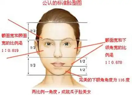 颧骨的标准位置图片