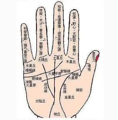 1,女生左手木星丘发达2,木星丘十字纹具体代表什么意义?