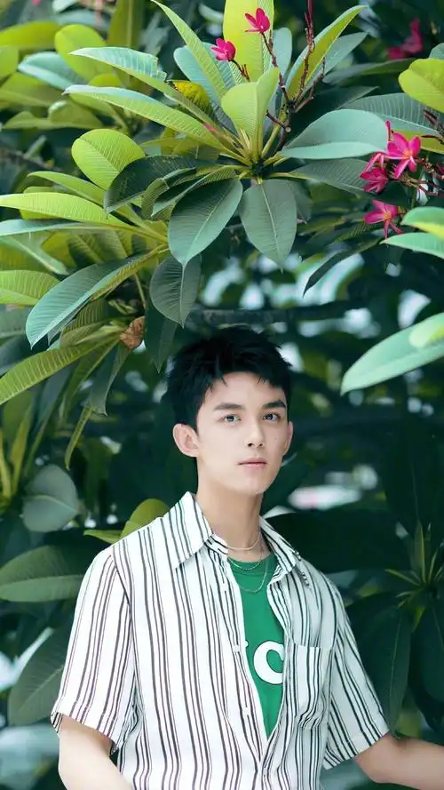 吴磊清秀帅气写真手机壁纸-明星-手机壁纸下载-美桌网