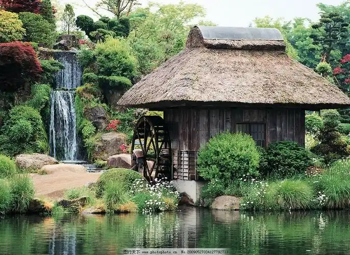 女人不狠地位不稳