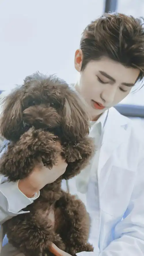 蔡徐坤 - 堆糖,美图壁纸兴趣社区