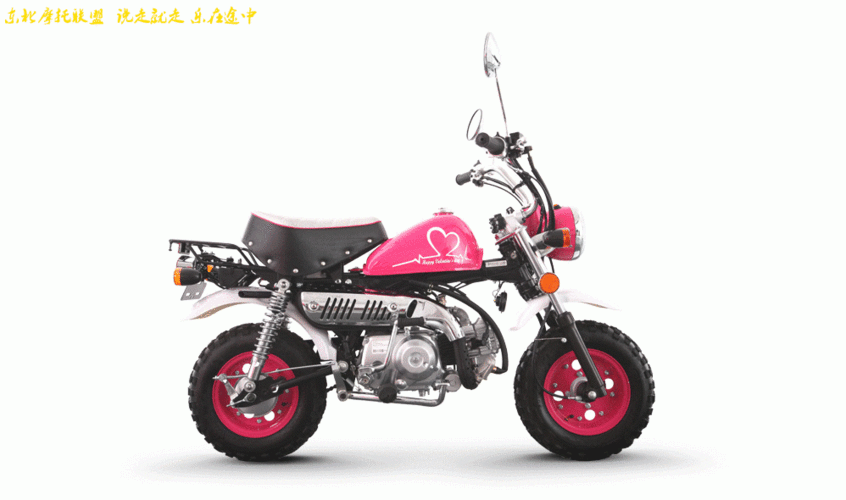 金城金童jc707情人节和糖果版小猴子上市