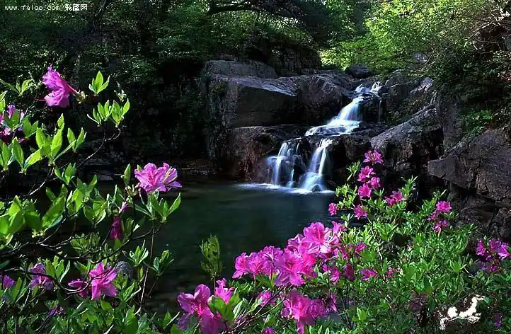 【美图欣赏】美丽的山水风景- 玫瑰夫人的日志- 网易博客
