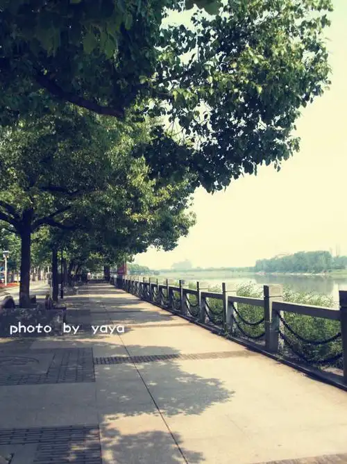 因为留恋,所以回忆