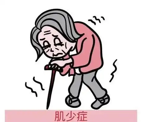 👴老年人如何预防肌少症?