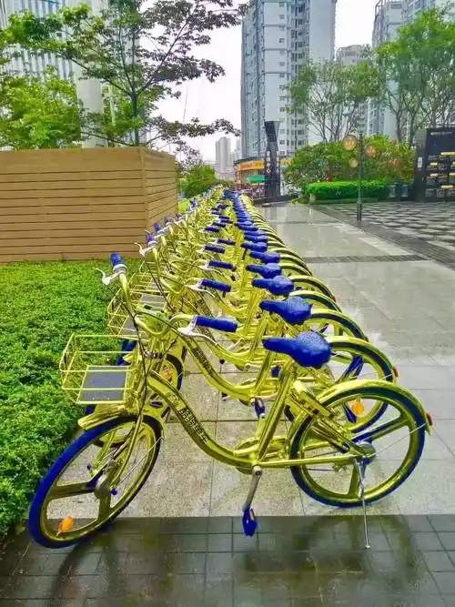 南宁街头出现土豪金版共享单车!