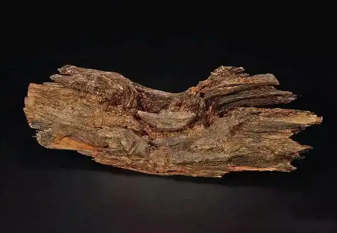 世界上最名贵的10种木头1寸木材能换1寸黄金你见识过多少