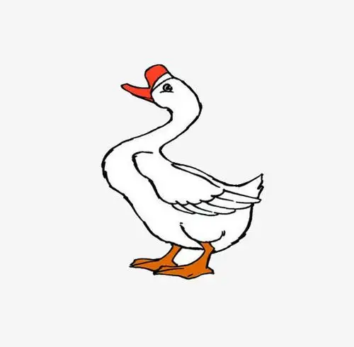 卡通白鹅