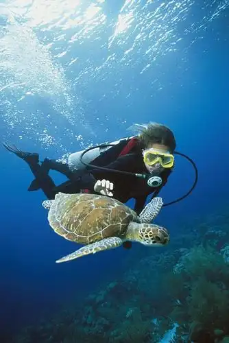 活动照片-南澳珊瑚潜水 带您走入神秘的海底世界快艇出海烧烤bbq