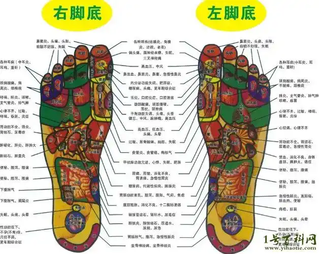 脚底疼痛部位图解