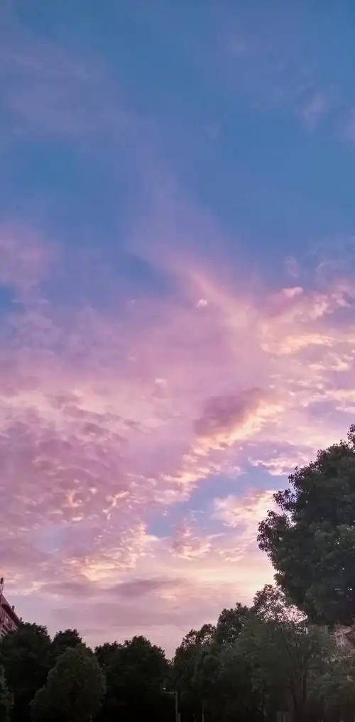 那天云彩很好看