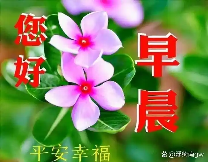 百度朋友,大家早上好! 清风揽明月,祝福悄悄走.