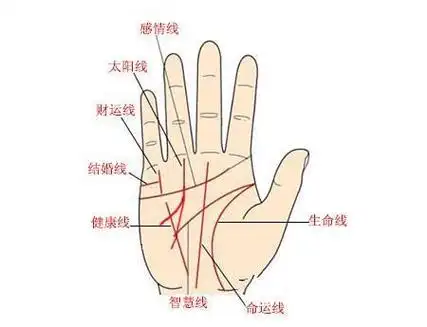 手相算命图解太阳线之中富