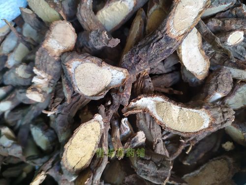 藤梨根 正宗白猕猴桃根另有新鲜500g 包邮 福建古田野生猕猴桃根