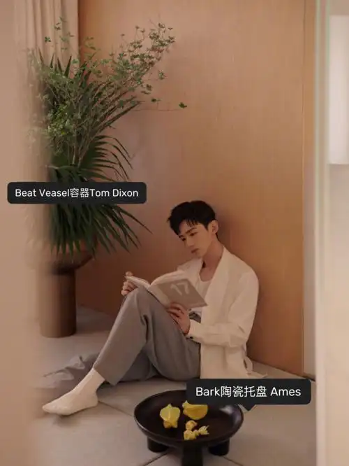 白敬亭的极简风大平层附同款软装清单