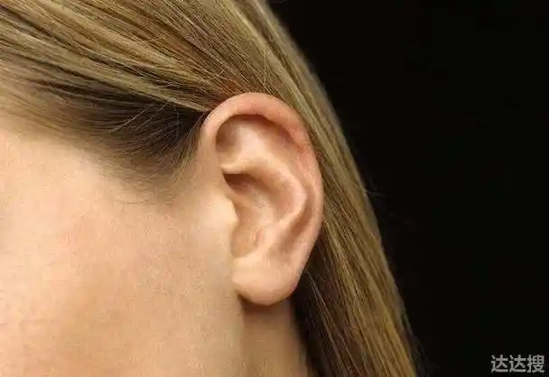 文章插图没有耳垂但命又好的人人的耳朵不会因为她的成长经历与生长