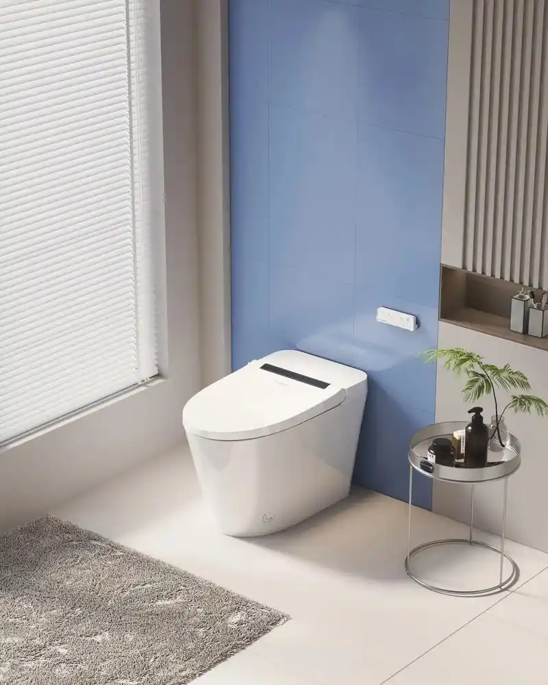 luoware 豪华智能马桶