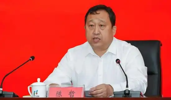 省体育局局长陈哲