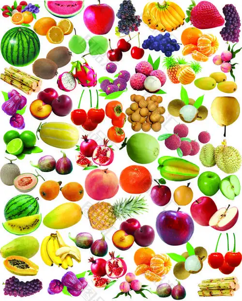 大量水果合集