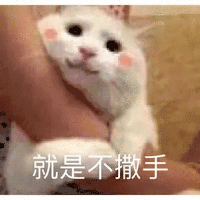 就是不撒手(猫咪撒娇专用表情包)_猫咪_撒娇_撒手_专用表情