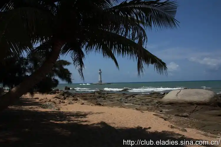 【五月恋歌 ,尽在初夏027】大海·沙滩·椰子树