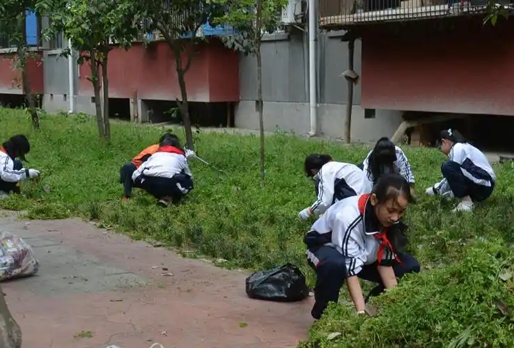 新都中学生积极参与社区志愿服务活动