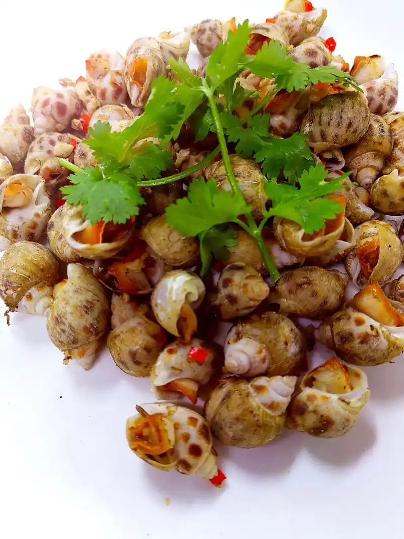 盐焗花螺.#图文伙伴计划 #一日一食一记抛开一切烦恼,从食开 - 抖音