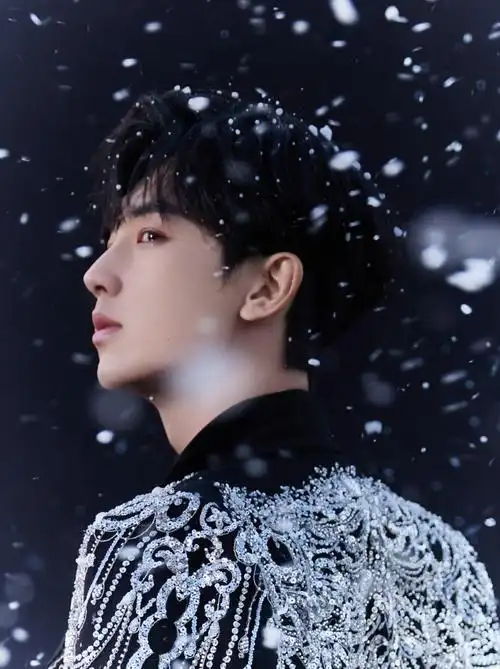 郭俊辰超话雪落无声,铺陈万千星辉;星光熠熠,定格华彩时刻.