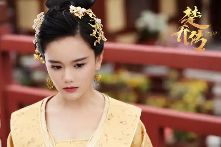 楚乔传南笙 饰 兰儿/兰淑仪