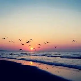 海边风景图片头像