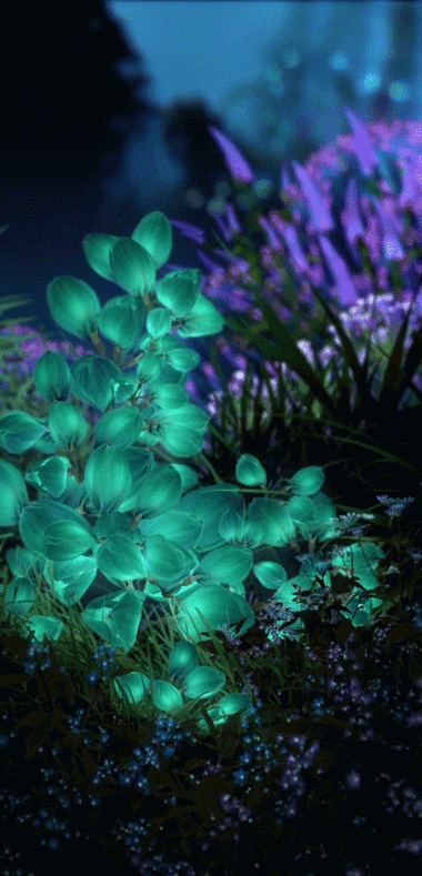 最火手机动态壁纸(最火手机动态壁纸诺基亚)