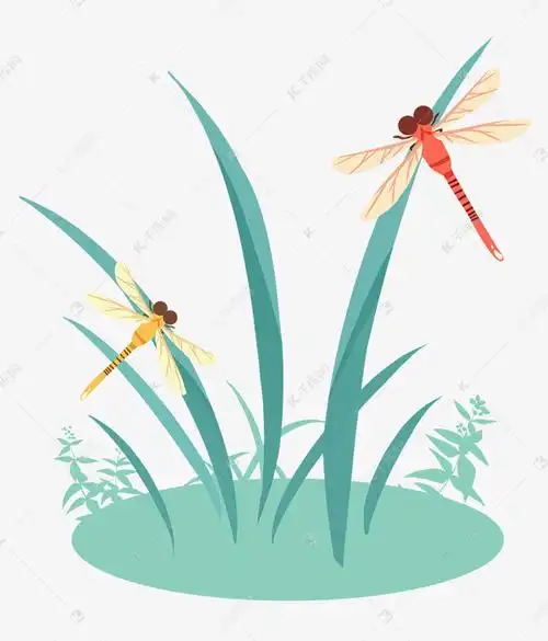 蜻蜓飞翔卡通动物
