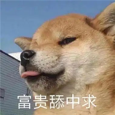 最新版超级沙雕搞笑的表情大全-云奇网