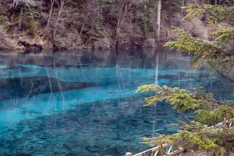 国家5a级景区被世人誉为童话世界号称水景之王故有九寨归来不看水之说