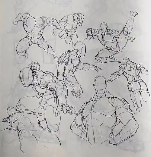 人有多少块肌肉人体一共有多少块肌肉