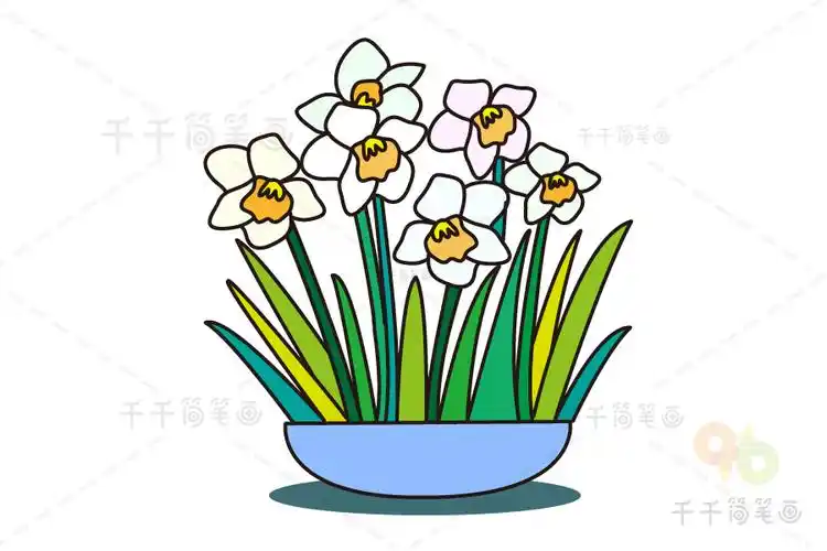 野生水仙花简笔画