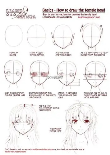sai资源库# 动漫人物的脸型绘画( anime &amp; manga faces )