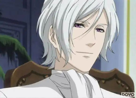 盘点动漫中那些帅气的男主角