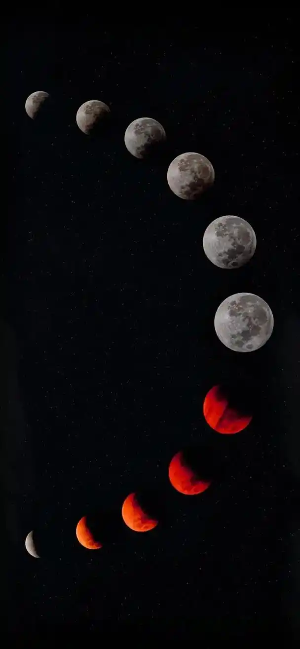 vol 175 精选无水印高清手机壁纸