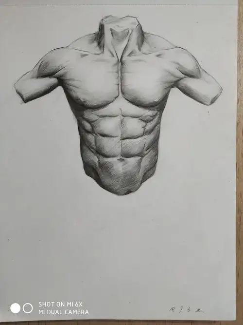 素描##人体肌肉