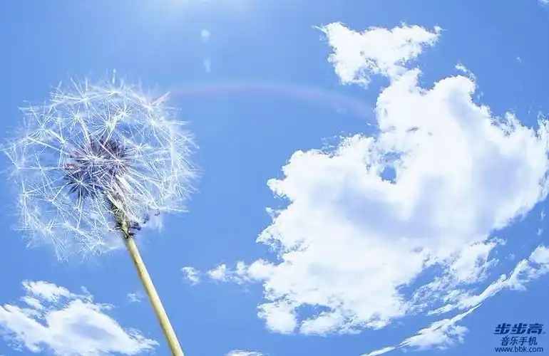 【写给2012年的自己】2012◆十指紧扣◆无法停止的爱 .